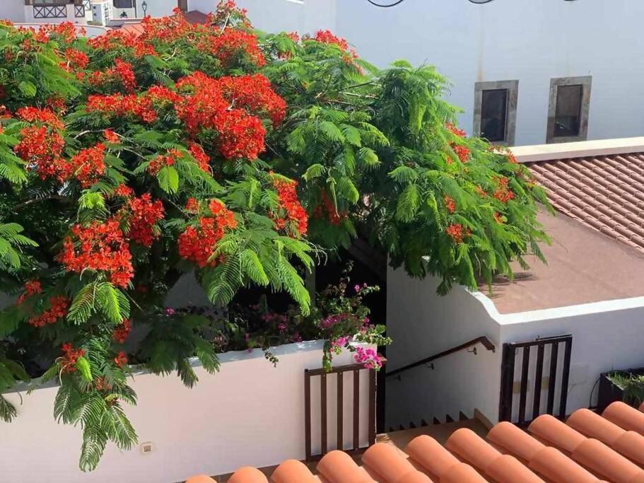 Villa Garoe Puerto de las Nieves Dış mekan fotoğraf